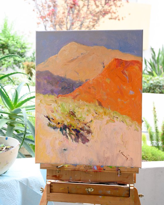 Morning. Desert