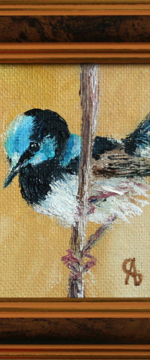 Bird III. Superb Fairywren by Salana Art / Svetlana Samovarova