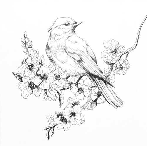 Spring Bird by Aneta Gajos