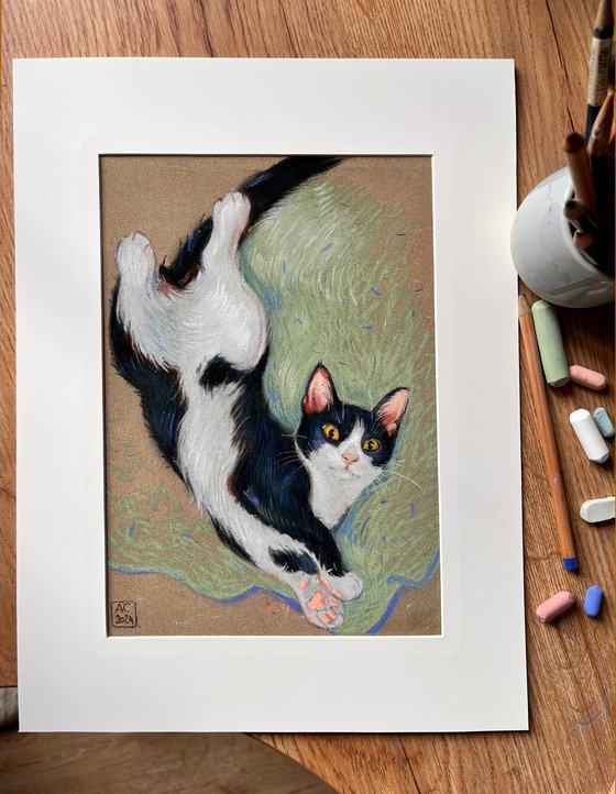 A black and white cat stretched out on a blanket.