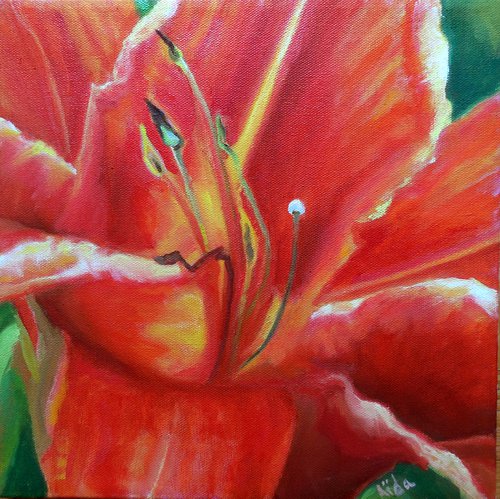 Orange Lily by Aida Markiw