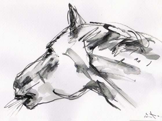 Horse study