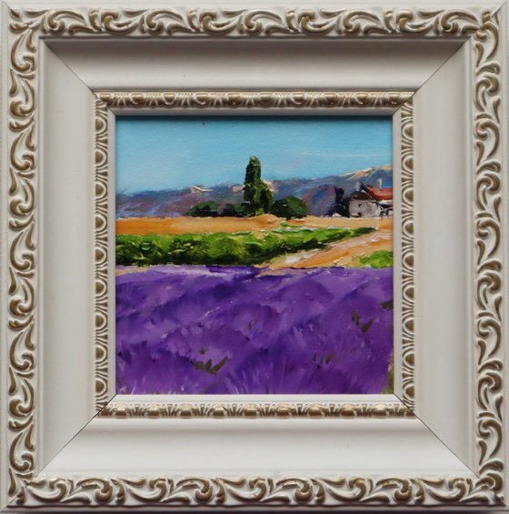 Lavender Fields Scene