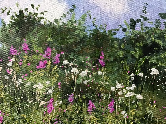 Summer Hedgerow