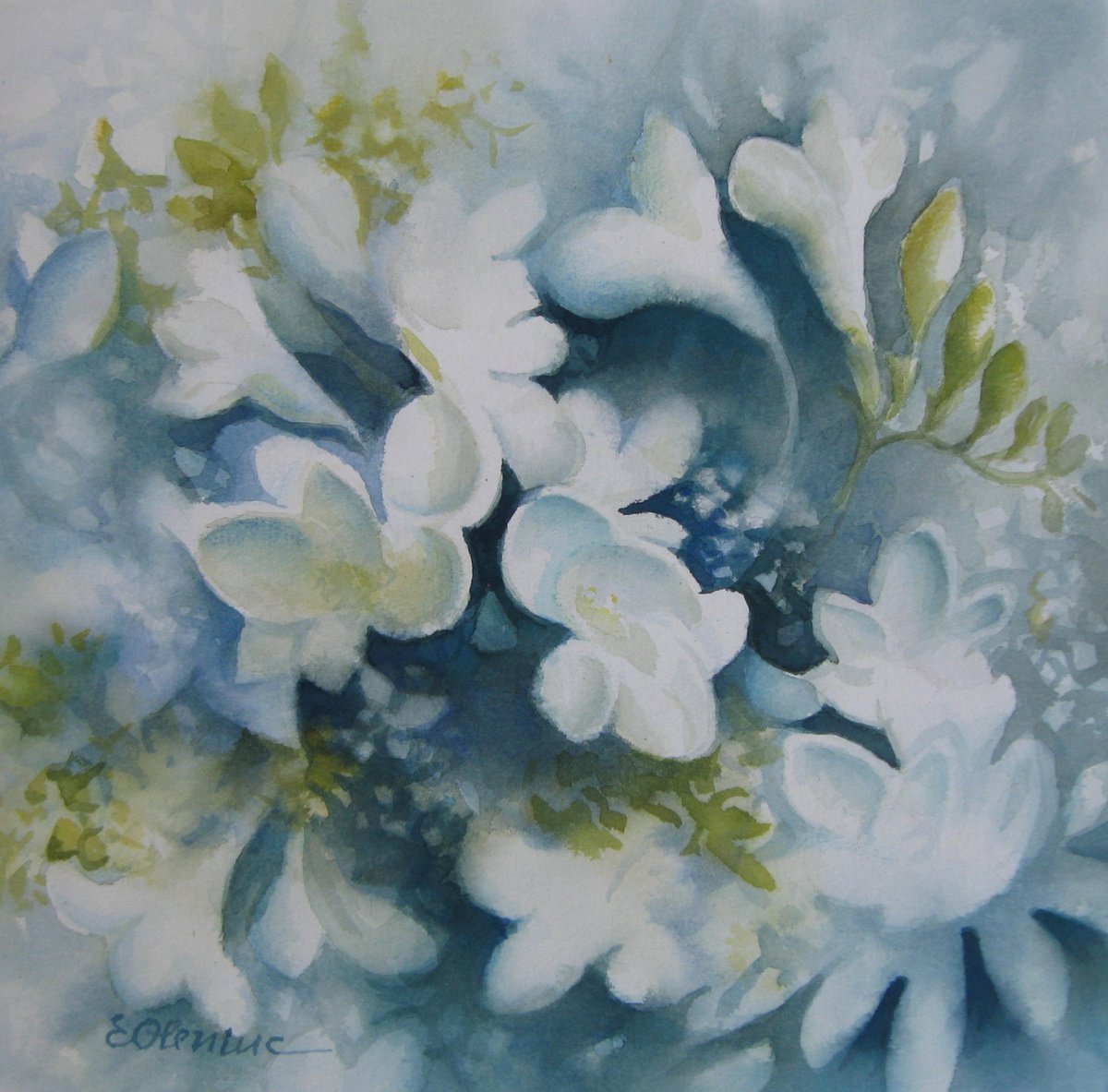 White petals by Elena Oleniuc