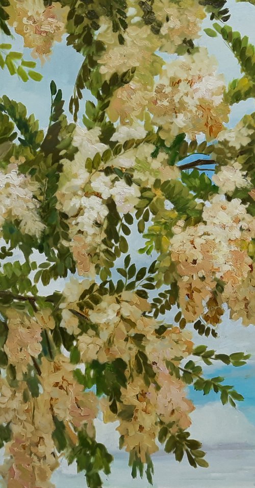 Acacia blossoms- Original oil painting (2021) by Svetlana Norel