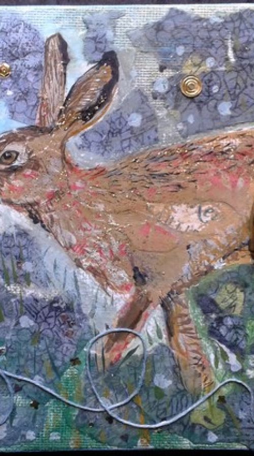 Cautious hare by Fiona Plaisted