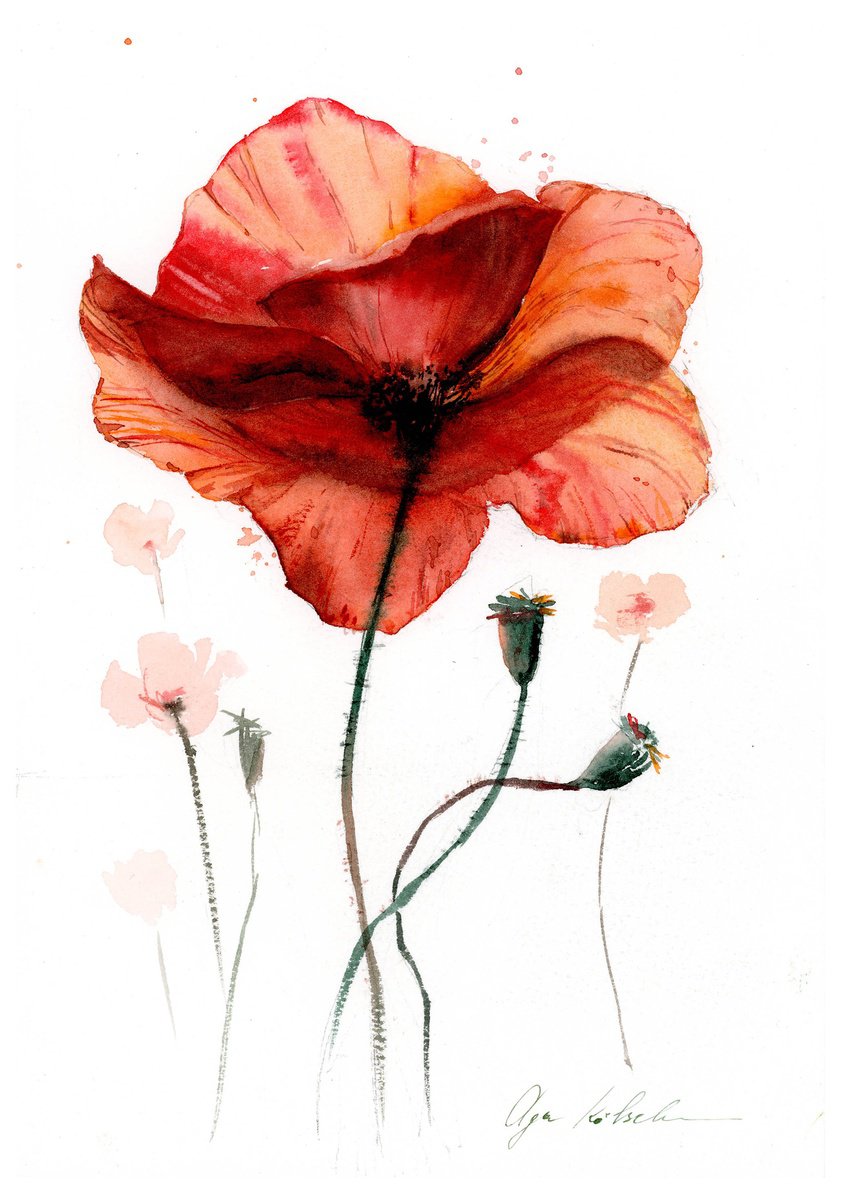 Watercolor abstract poppy by Olga Koelsch