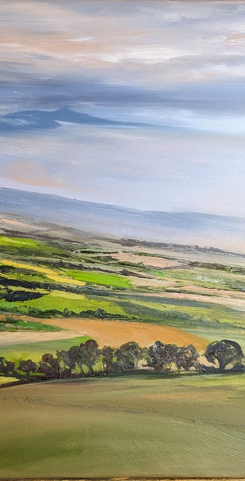 View over the Quantocks by Steve Keenan