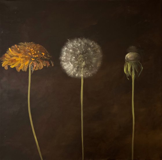 Dandelions