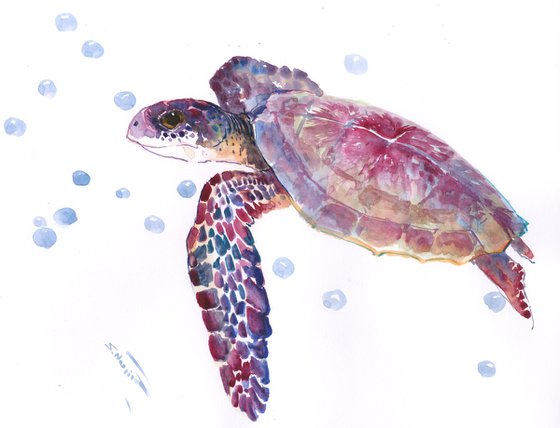 Sea Turtle