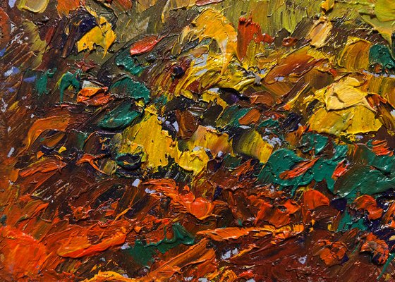 The edge of a plowed field