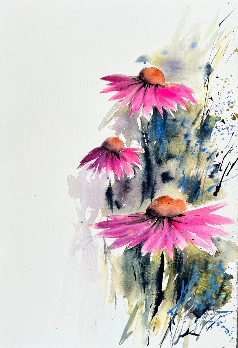 Echinacea Flowers by Yana Ivannikova
