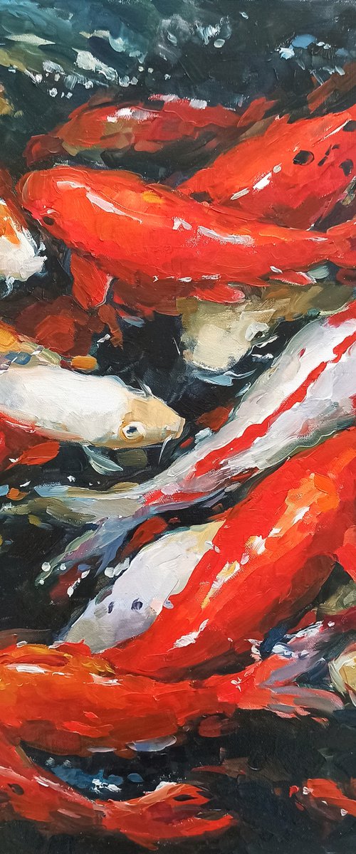 Carps Koi by Elena Utkina