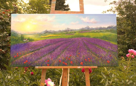 Lavender Provence