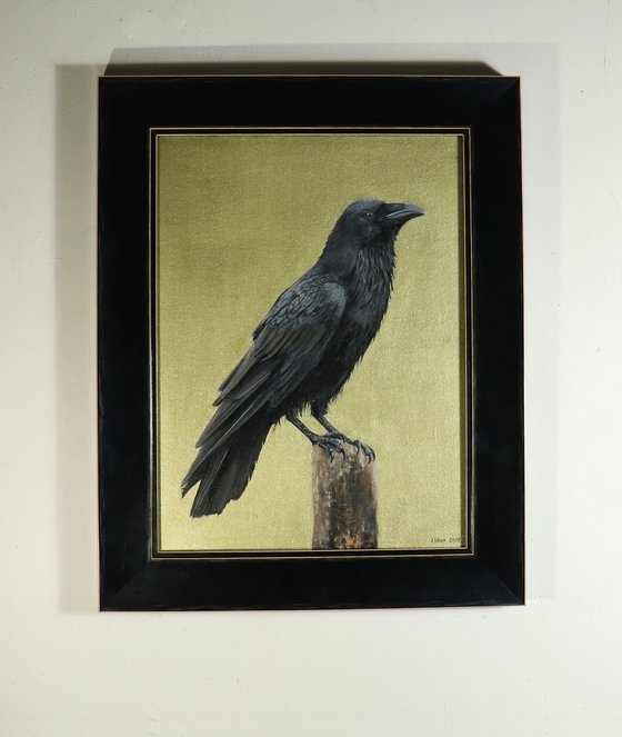 Raven, Portrait of a Black Bird