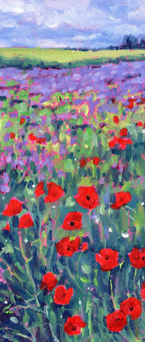 Poppy Flower Meadow by Zoe Elizabeth Norman