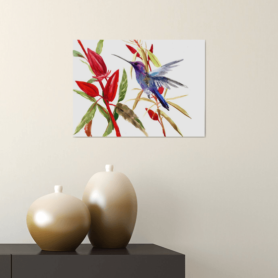 Flying Hummingbird and wild hibiscus