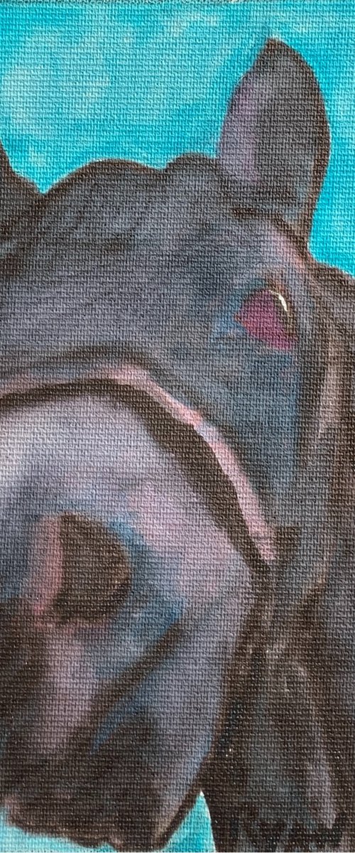 Horse by Ryan  Louder