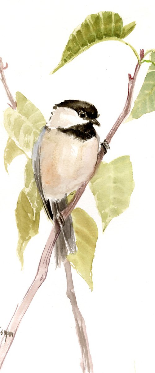 Chickadee by Suren Nersisyan