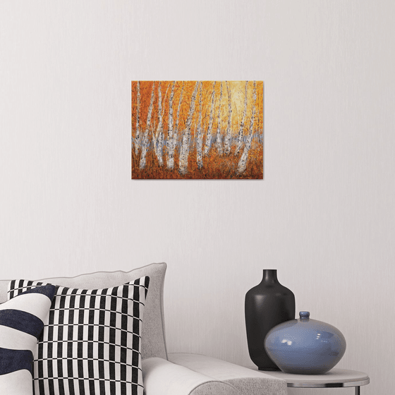 Autumnal birch trees 2