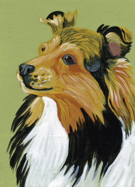 ACEO ATC Original Miniature Painting Sheltie Shetland Sheepdog  Pet Dog Art-Carla Smale