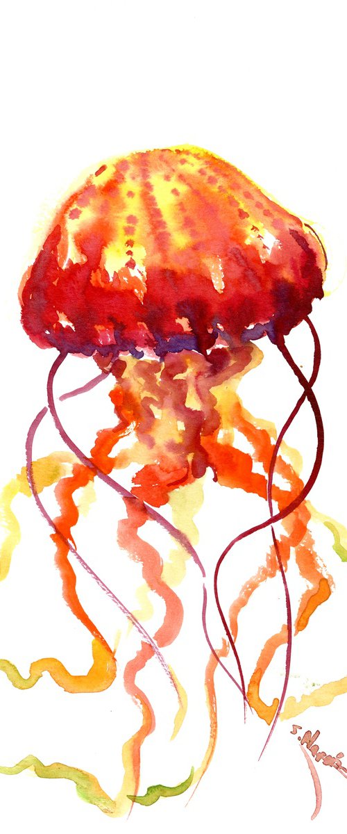 Jellyfish by Suren Nersisyan