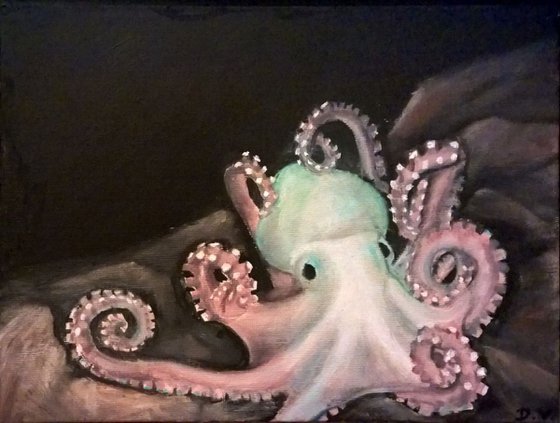 Little octopus