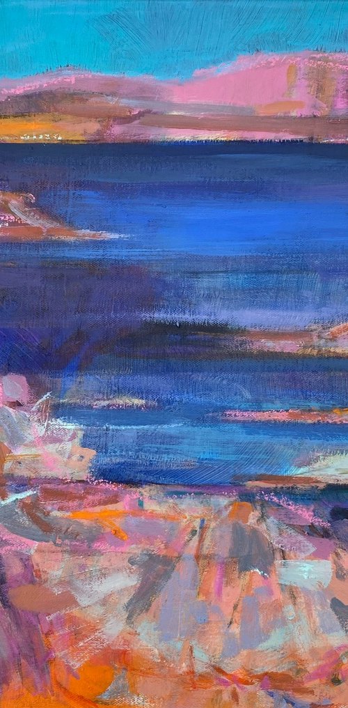 Where Salmon Swim by Chrissie Havers