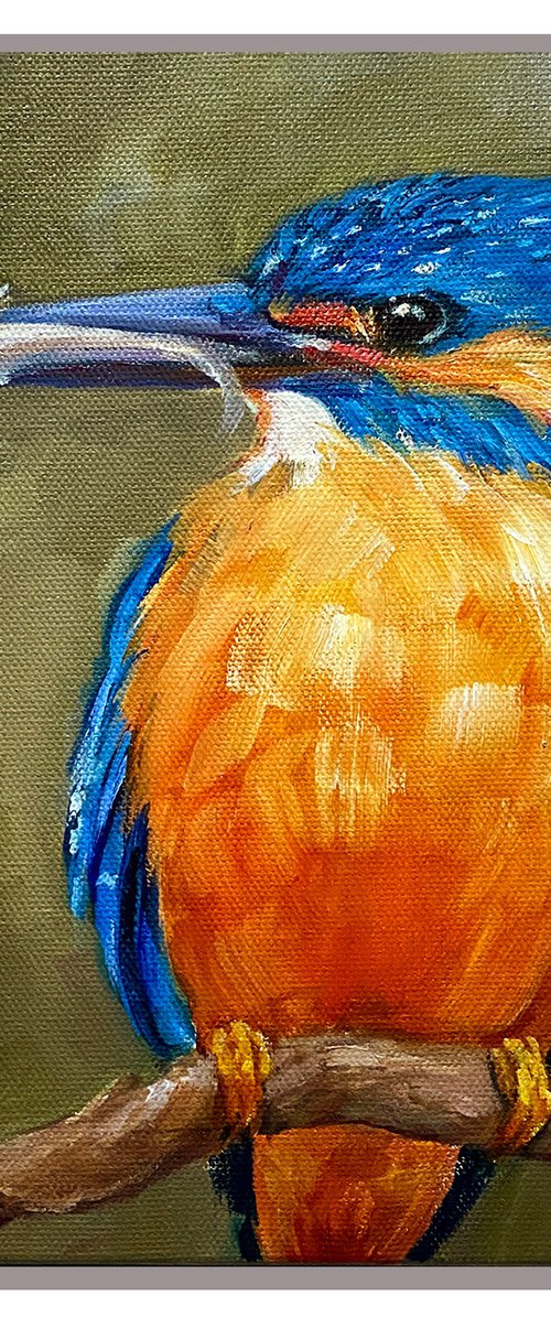 A day's Catch_ Kingfisher by Arti Chauhan