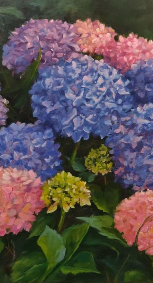 Hydrangea by Jane Lantsman