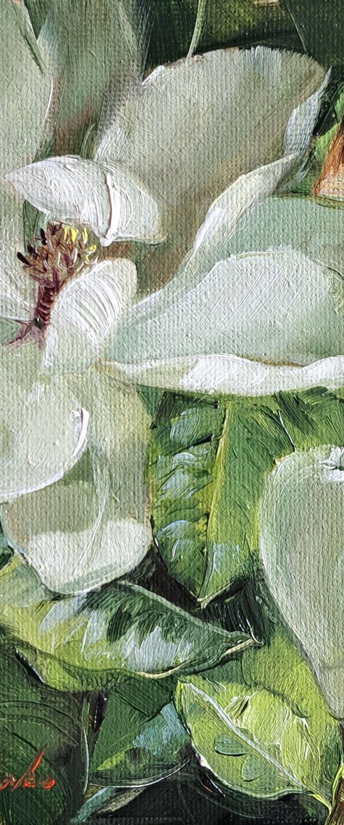 Magnolia flower by Nataly Derevyanko