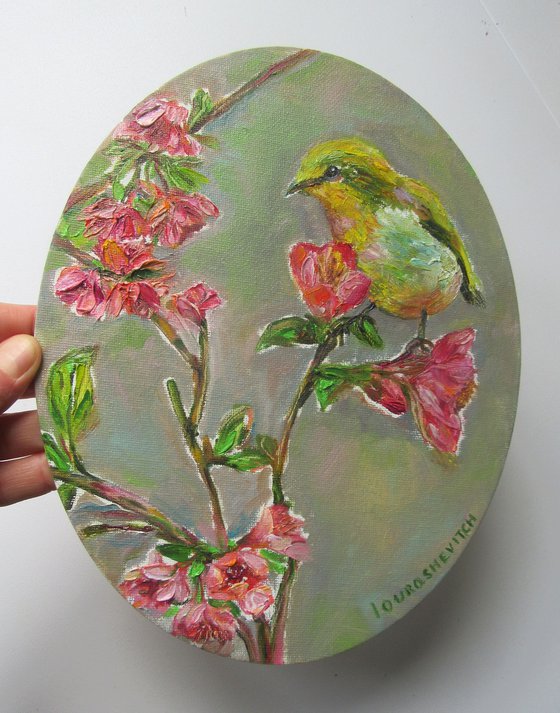 Birds' Life