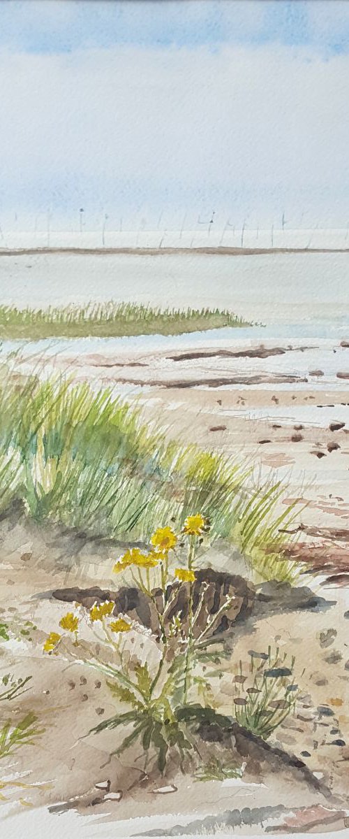 Flowers on the Beach, Terschelling by Morag Paul