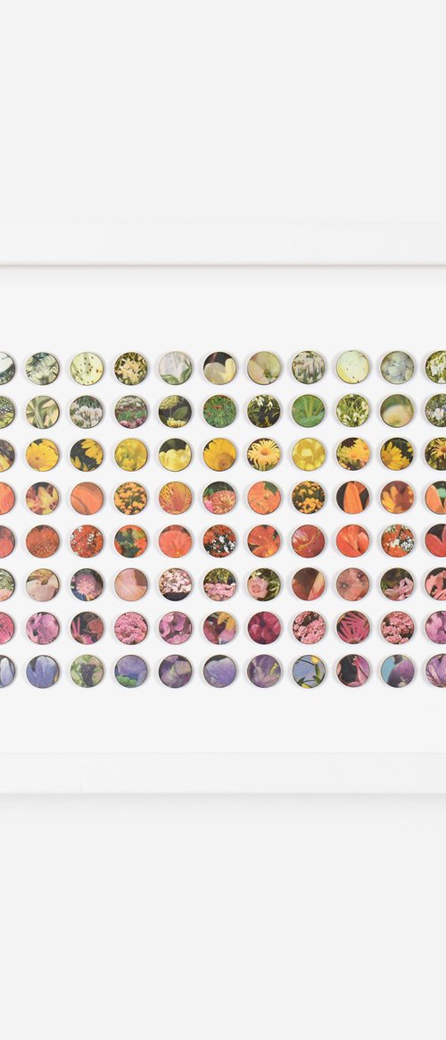 3D Floral Dots collage by Amelia Coward