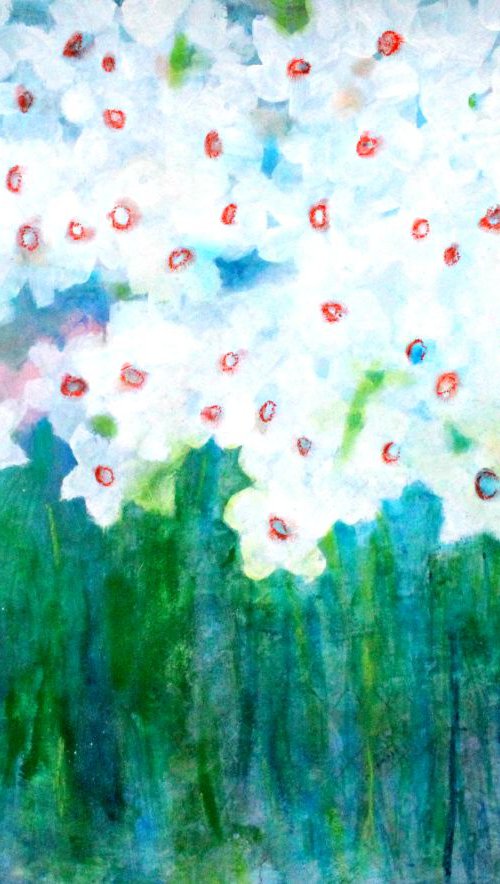 Narcissus Flower Bed by Kerri McCabe