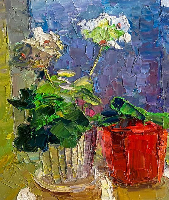 Flowers on the Windowsill