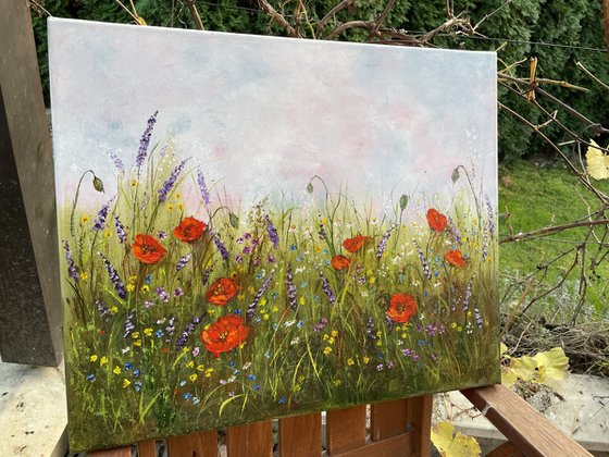 Summer and flowers - red poppies