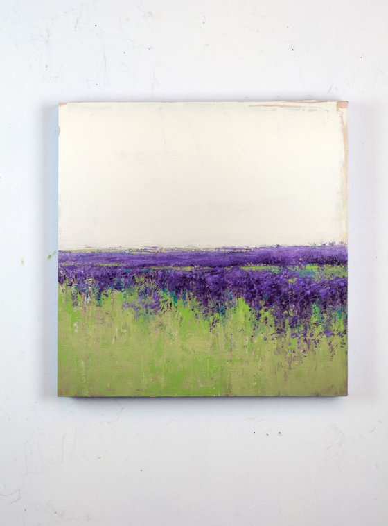 Lavender Field