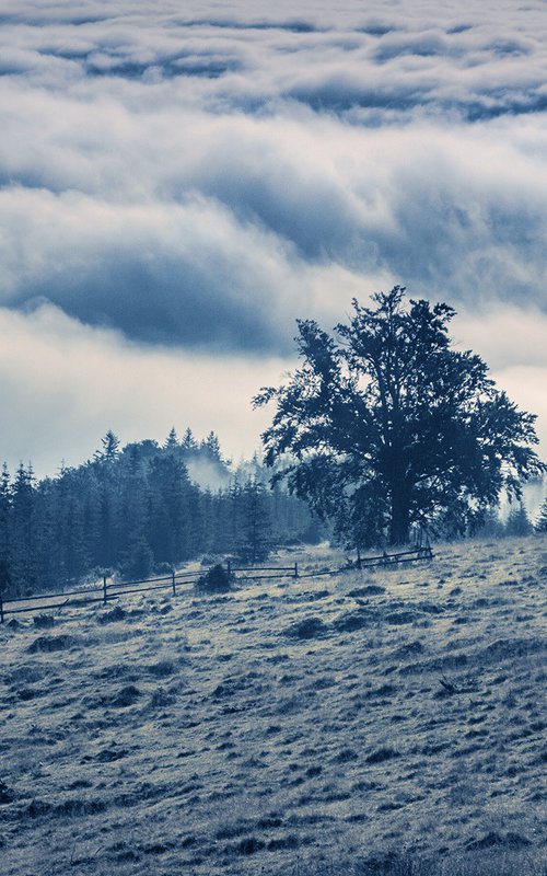 Under cover of the morning fog. by Valerix