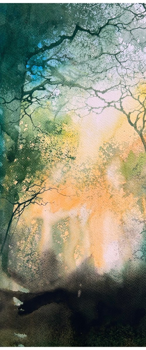 Silent Forest Glow by Nazar Grunyka