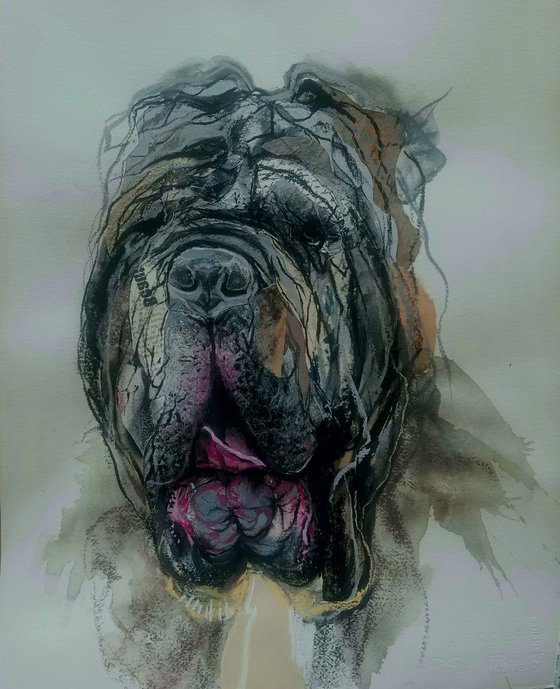 Naples mastiff