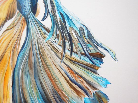 Fish in a dress