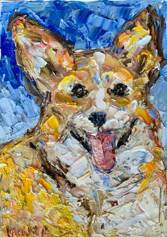 Corgi partrait