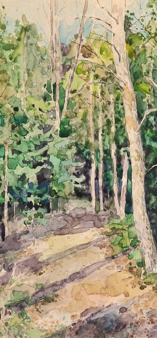 Sun rays in the park by Olga Goryunova