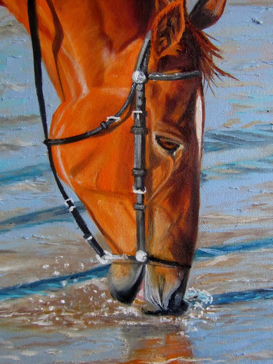 Horse at Sunset