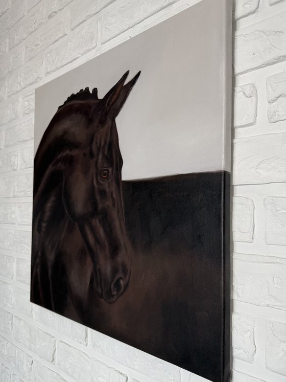 Black horse portrait