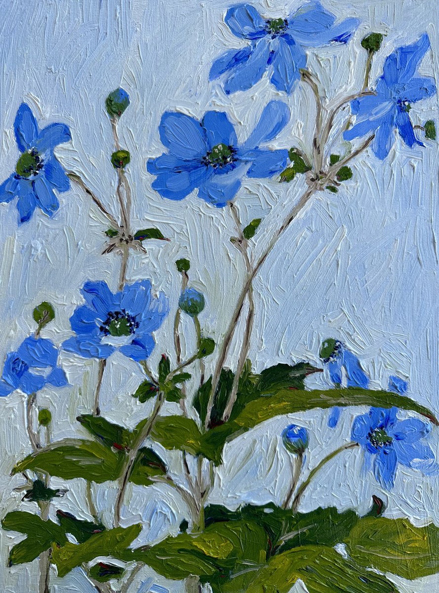 Impressionistic Botanical Oil Painting By Irina Anis, 12 X 16, Blue Botanical Anemone Flowers, Original Artwork