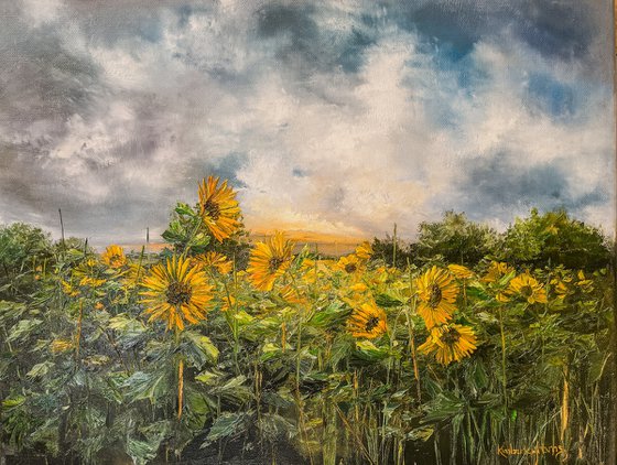 A Sunny Meadow