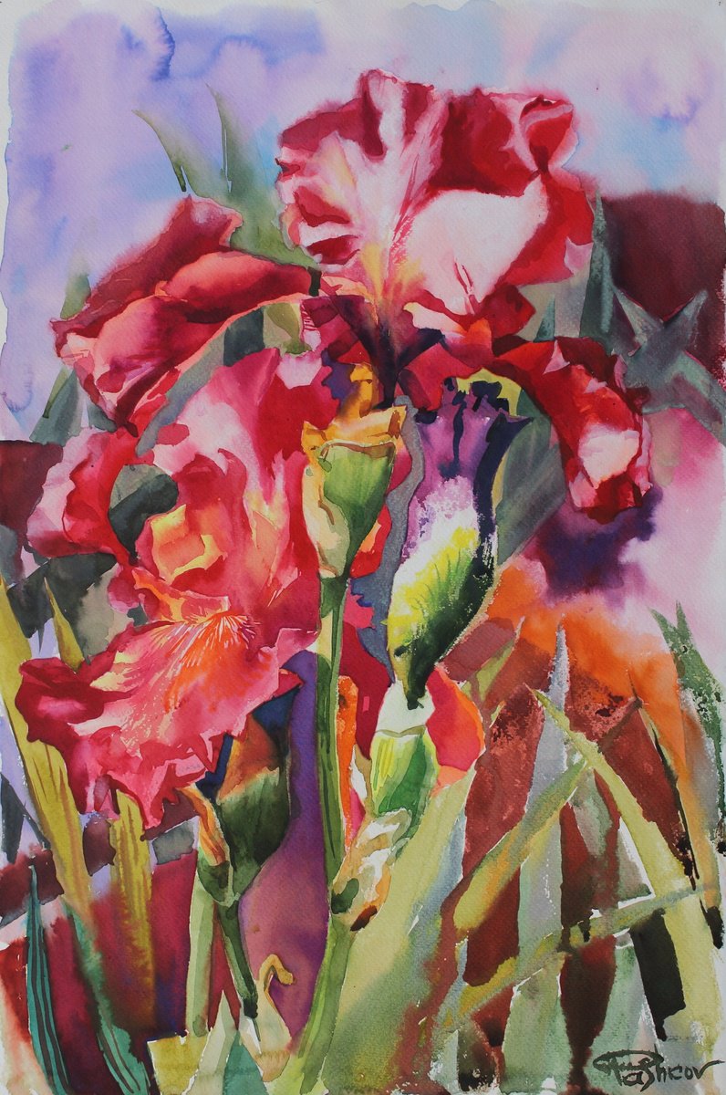 Impressionistic Botanical Watercolour By Yurii Pashkov, 15 X 22", Red Irises#3, Original Artwork